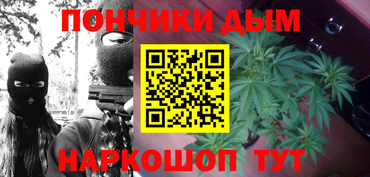 Канабис сатива Сегежа